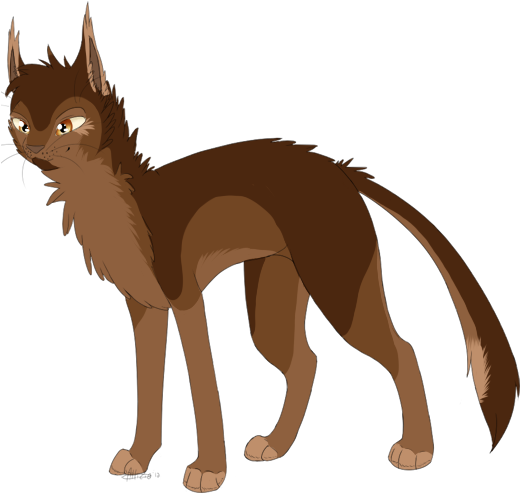Warrior Cats Brown Cat (527x513)