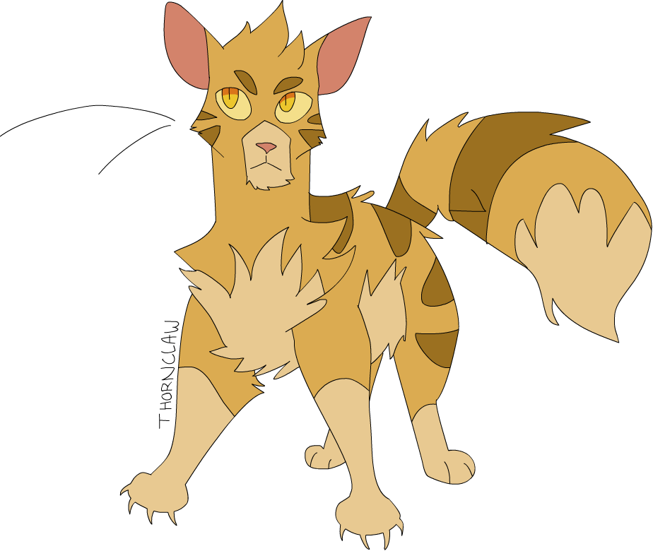Warrior Cats Thornclaw Thunderclan - Cartoon (924x780)