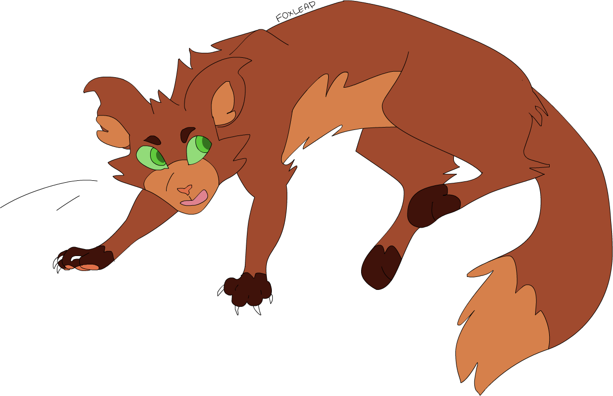 Warrior Cats Thunderclan Foxleap - Ukari Warriorcats (1229x795)