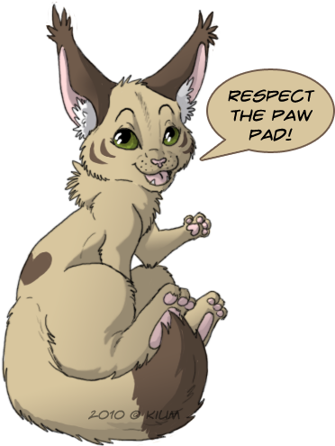 Respect The Paw Pad By Kium - Cartoon (400x500)