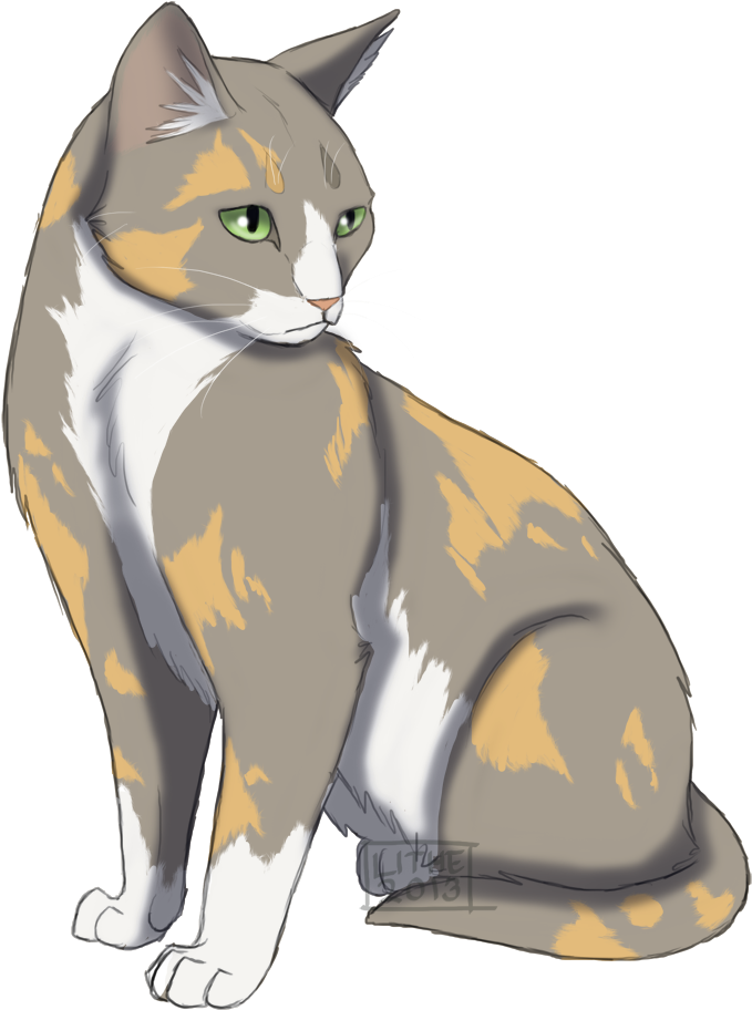 Lithestep 33 2 Graypaw Oc By Lithestep - Warrior Cats Lithestep (760x954)