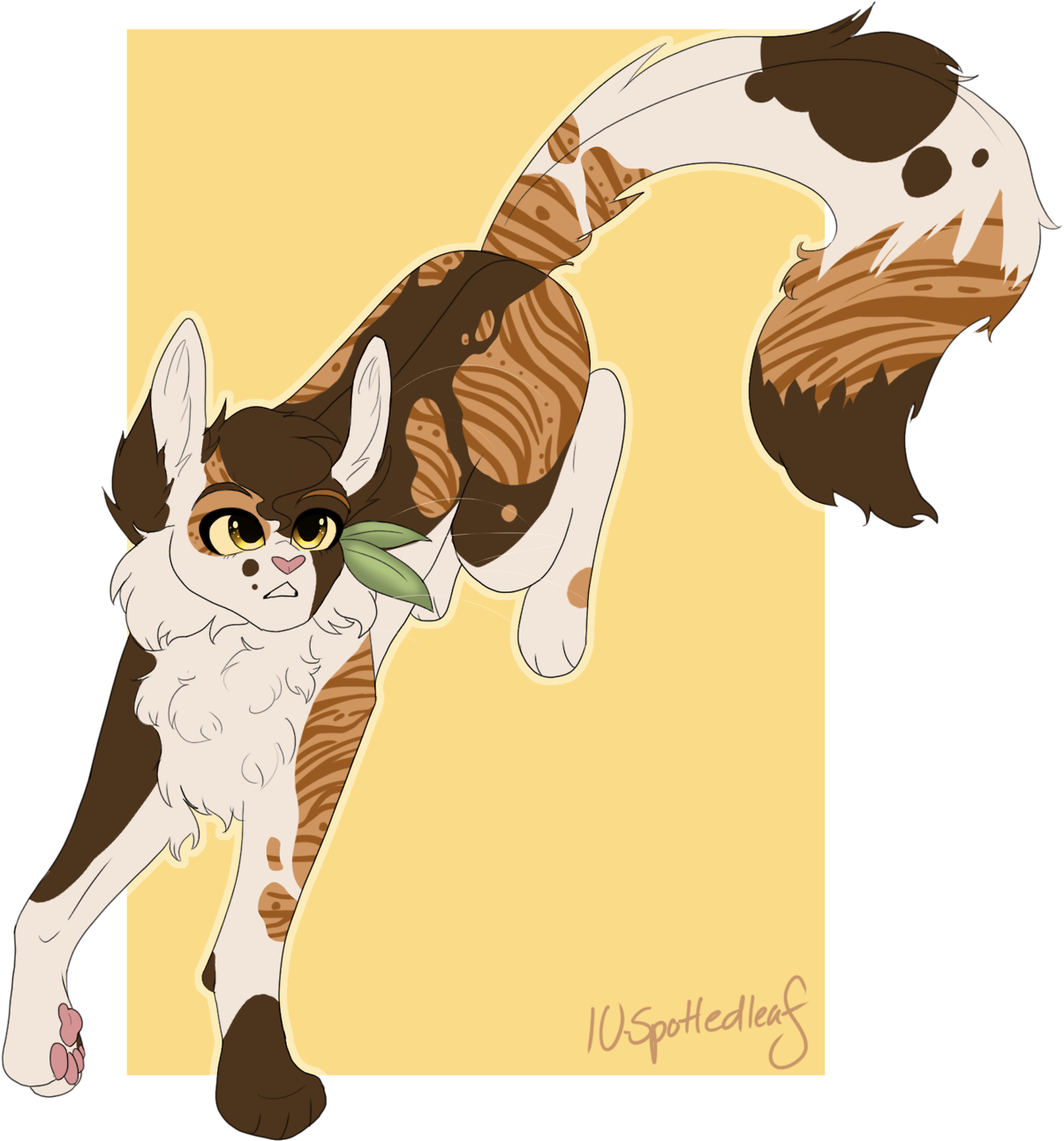 10-spottedleaf, Medicine Cat Of Thunderclan - Thunderclan (1280x1375)
