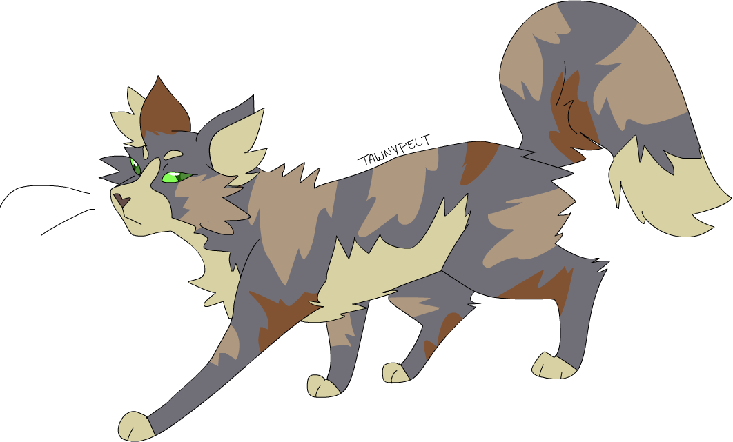 Warrior Cats Tawnypelt Redraw Thunderclan Shadowclan - Warriors (1062x641)