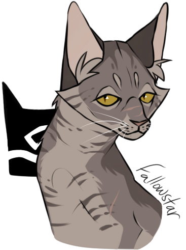 My Ocs Ocs Warrior Cats Warrior Cat Ocs Redshade Loudstep - Fallowstar Warrior Cats (366x589)