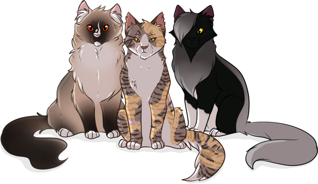 Thunderclan By Ocrystal Thunderclan - Domestic Short-haired Cat (1024x592)