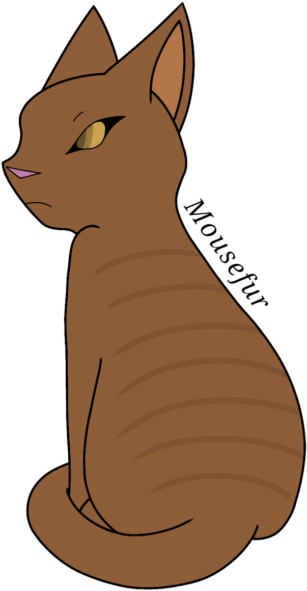 Frostfur Thunderclan Elder Mousefur Thunderclan Elder - Cat Yawns (800x1200)