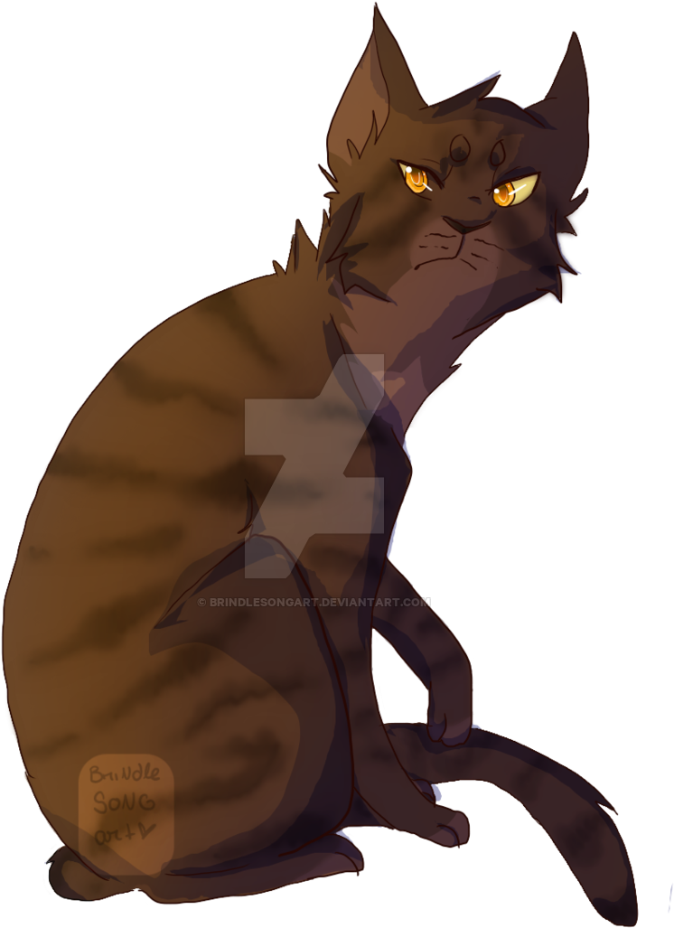 Thunderclan Warriors Download Thunderclan Warriors - .com (800x1063)