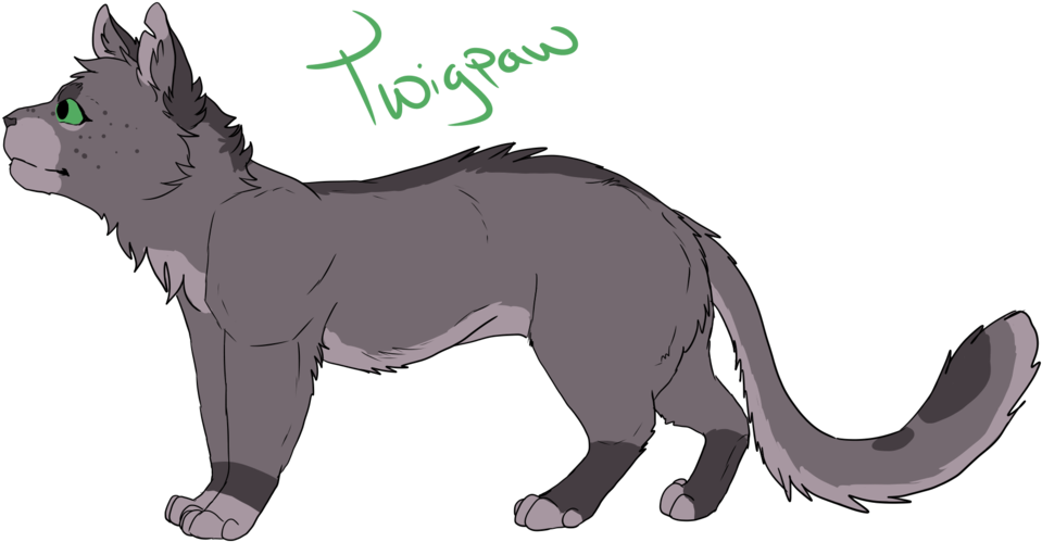 Warrior Cats Thunderclan Warriors Download - Warrior Cats Twigpaw (1024x576)