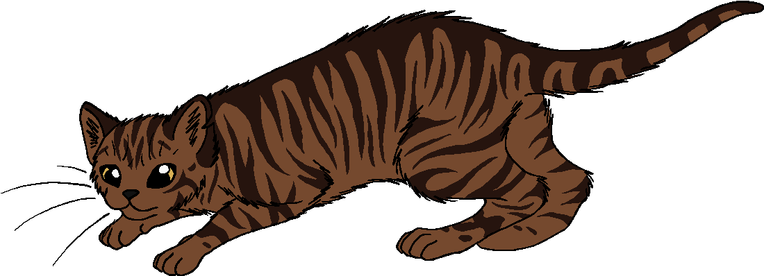 Brown Warrior Cats (1176x482)