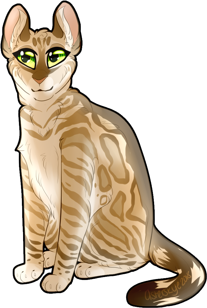Doestar Of Thunderclan - Devon Rex (899x1080)