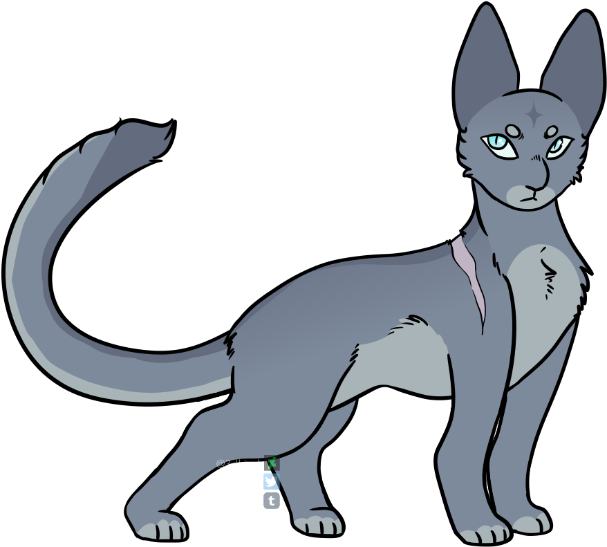 Bluestar Warriors Thunderclan Starclan Designs Warrior - Dog Catches Something (925x850)
