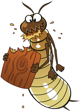 Wood Destroying Insects - Insect Wood Png (300x400)