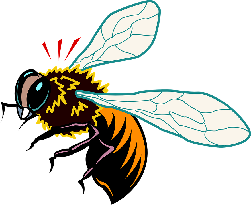 African Honey Bee Clipart (881x720)