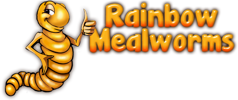 Rainbow Mealworms - Rainbow Mealworms (700x200)