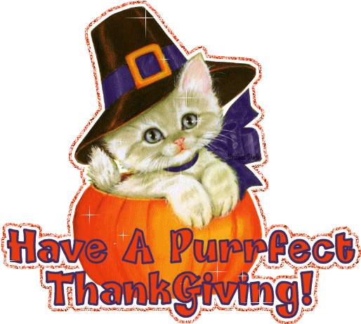 Have A Purrfect Thanksgiving - Happy Thanksgiving With Cats (514x469)