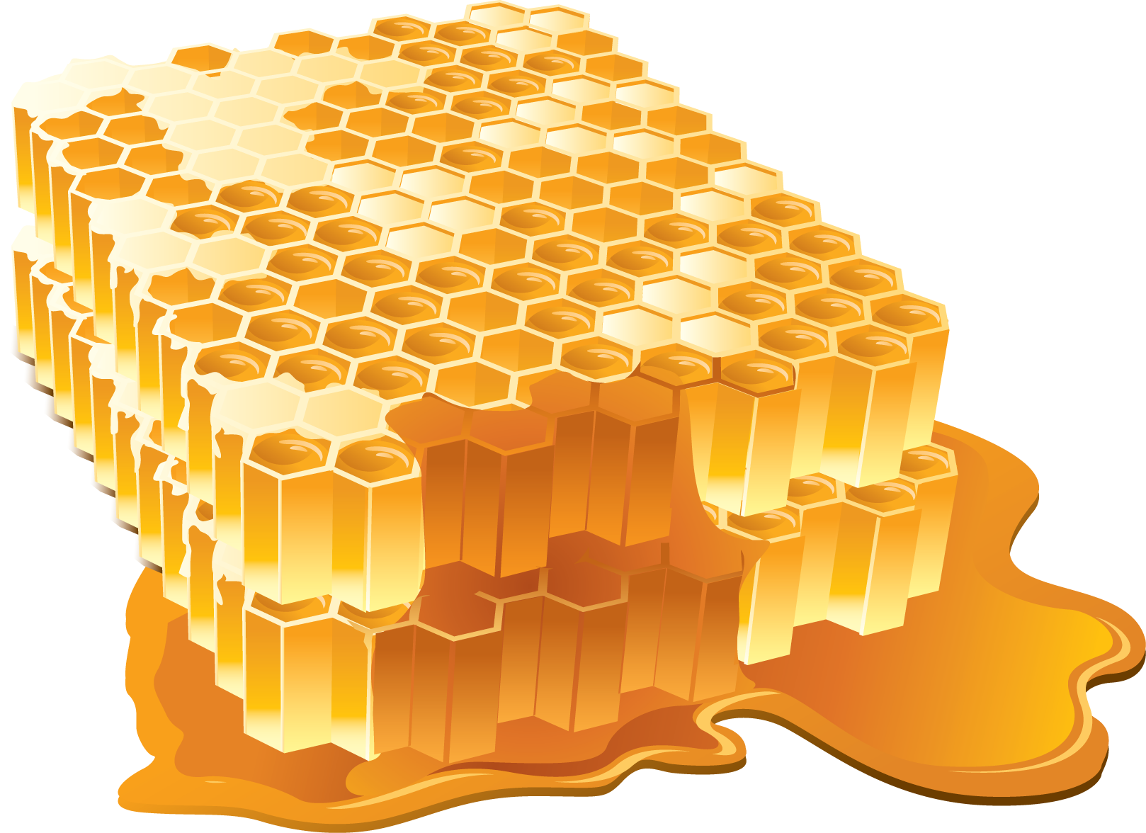 28 Collection Of Honey Clipart Transparent - Honey Png (1618x1176)