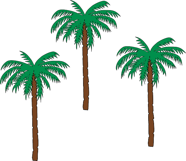 Trees Palm, Tree, Trees - Haiti Coat Of Arms (640x553)