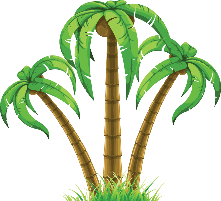 Palm Tree Vector Art Free - Portable Network Graphics (863x786)
