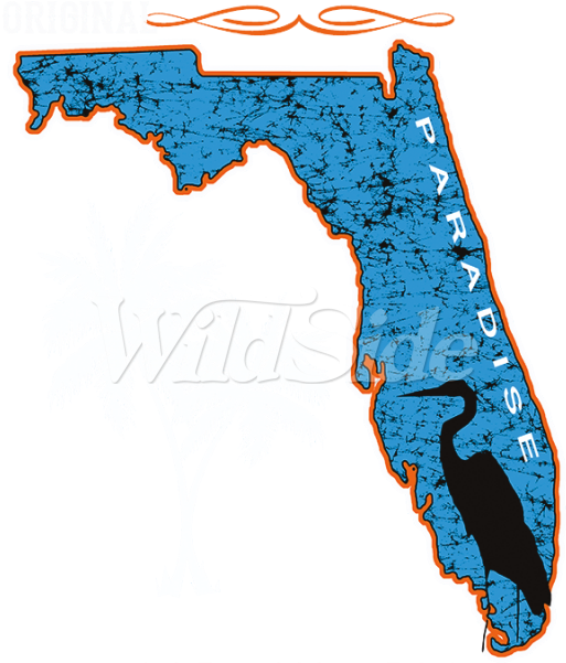 Original Paradise Florida State - Illustration (600x600)