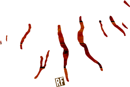 Finger Lakes Clipart 2 By Shannon - Illustration (600x300)