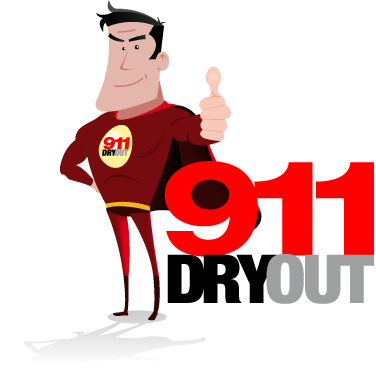 911 Dryout - Cartoon (376x380)