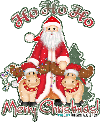 Cute, Funny Christmas Animated Gif Collection - Funny Merry Christmas Gif (339x412)