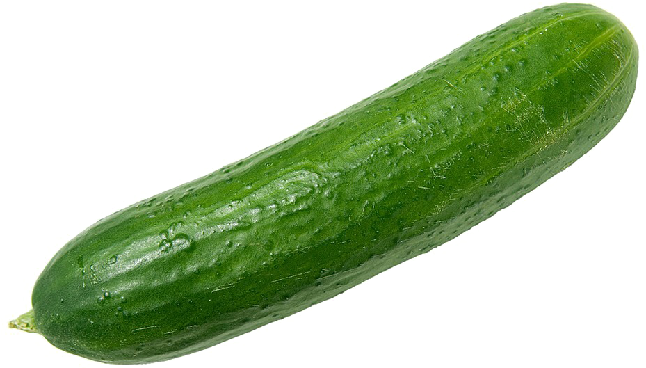 Cucumber Logo Transparent Vector And Clip Art Inspiration - Cucumber Vegetables (1000x1000)