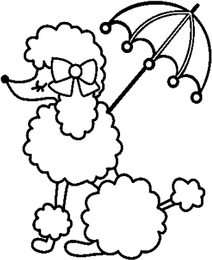 Dorable Colorear Perros Lindos Foto - Perrito French Poodle Dibujo (540x423)