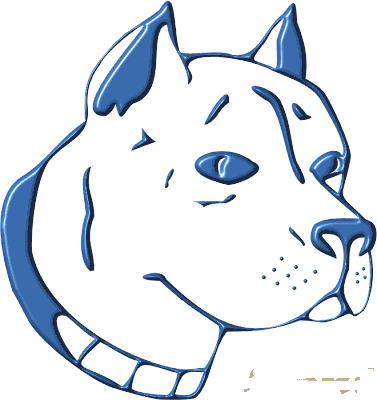 Bull Terrier Perros Imagenes - Bull Terrier Perros Imagenes (377x400)