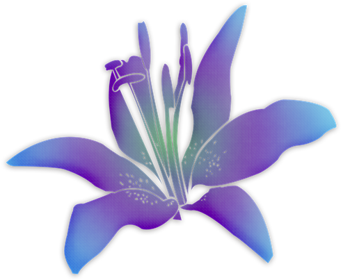Ð¦ð²ðµñ‚ñ‹ Ð¦ð²ðµñ‚ð¾ðº Ð¤ð¸ð¾ð - Flor De Íris Png (720x720)