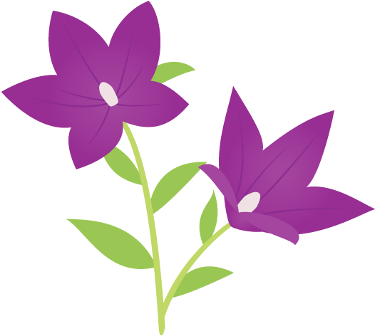 キキョウ - Gentiana (700x490)