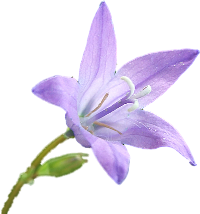 Les Chambres (409x428)