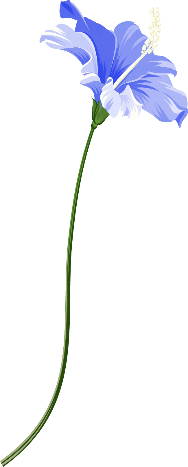 Match Me With A Travel Agent - Iris (650x1610)