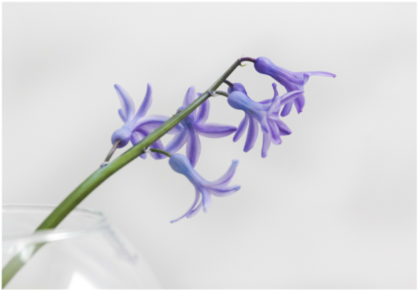 Untitled Design - Untitled Design (1000x563)