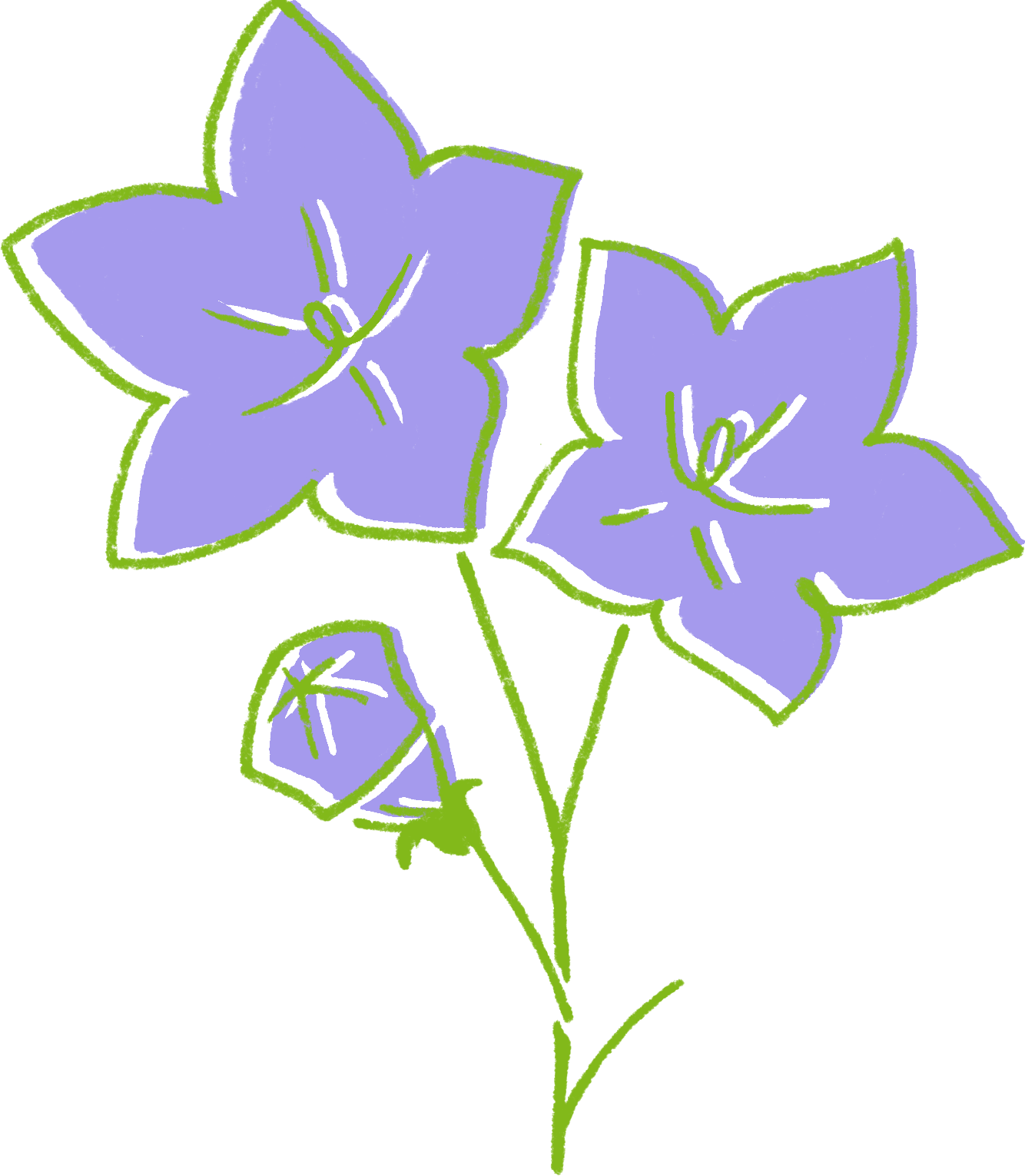 1409 04 - Lily Family (1334x1530)