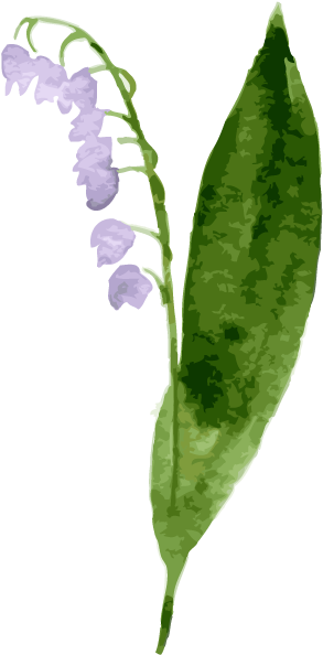 Bellflower - Bellflower (833x833)