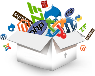 We Offer Web Development Solutions For - Web Development Images Png (500x300)