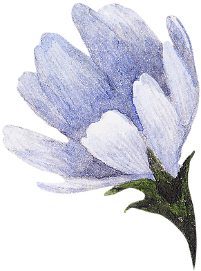 Thanks For Stopping By - Essential Oil (419x503)