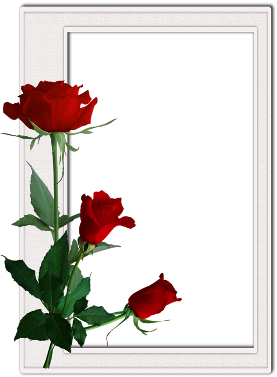 Decoratif Gifler - Forum Aski - Ultimate Complete Bbw Erotic Romance Collection: Big, (565x800)