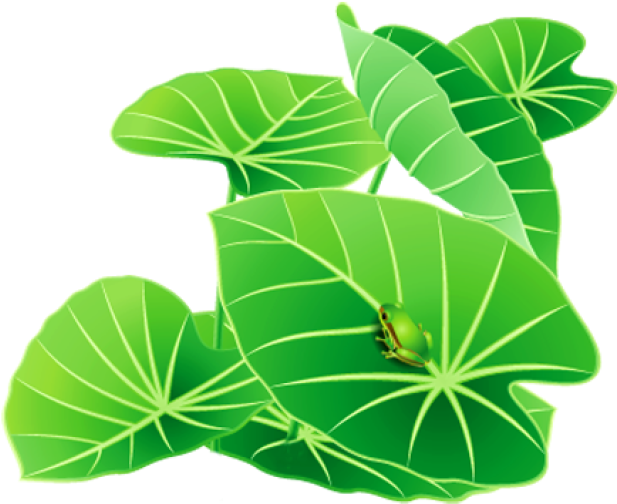 Free Frog On Lily Pad Clipart Image - Lily Pad Clipart Free (640x535)