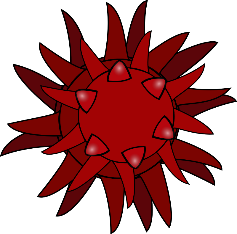 Virus Clipart - Clipart Of A Virus (800x787)