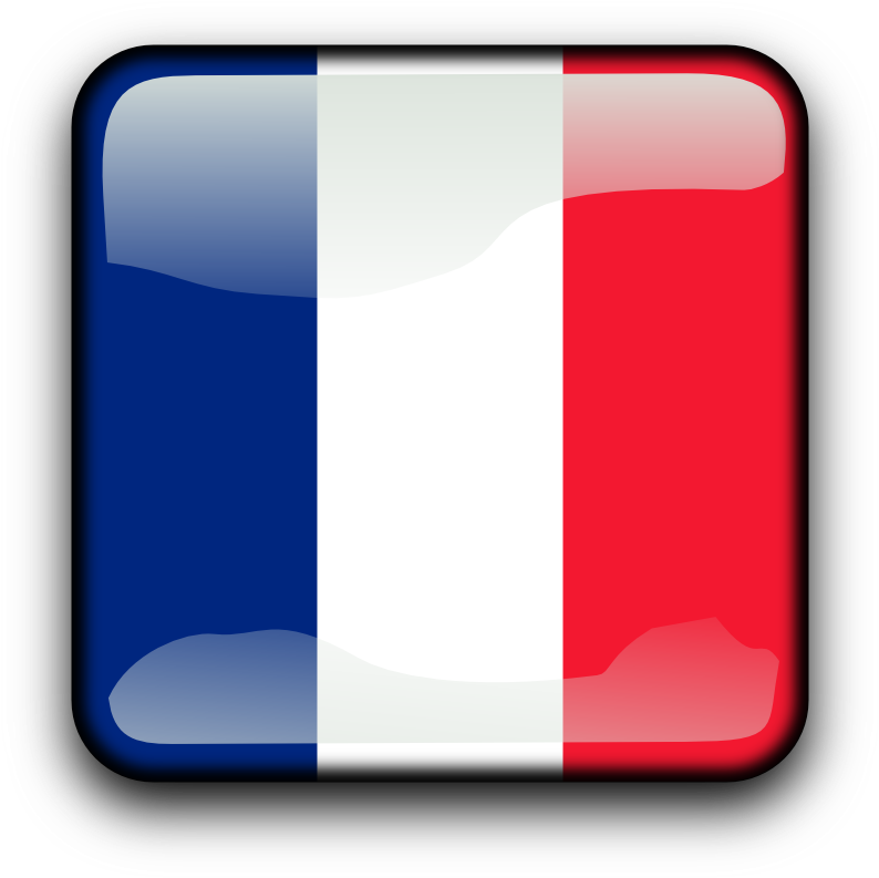 Illustration Of A French Flag Button - Top Life Toilet Stool Recommended By Gastroenterologists (1280x1280)