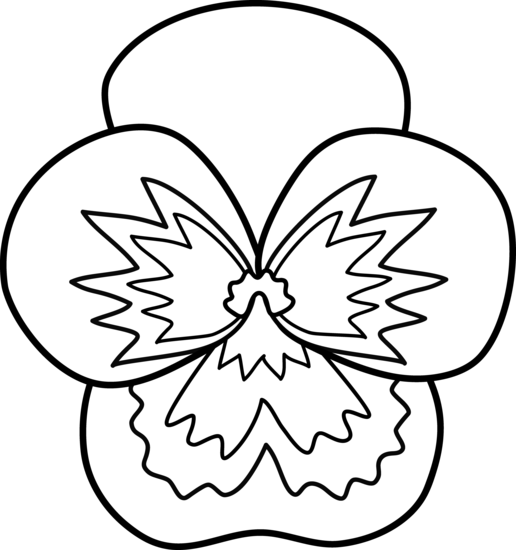 Pansy Flower Line Art - Pansy Flower Coloring Page (516x550)