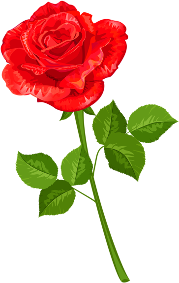 Rose Transparent Png Clipart - Clipart Rose Transparent (2980x4743)