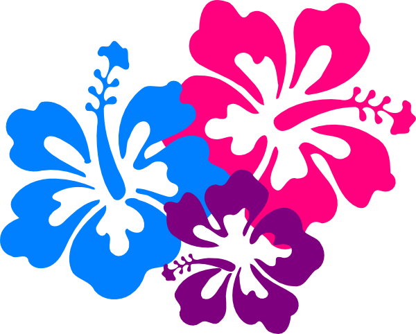 Hawaiian - Hawaiian Flower Clipart (600x482)