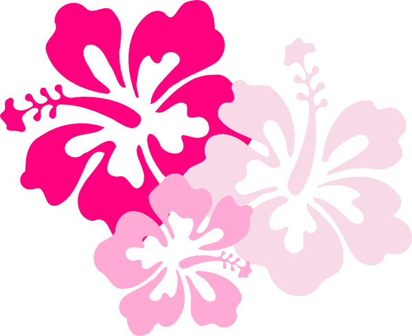 Hawaiian - Hawaii Flower (600x490)