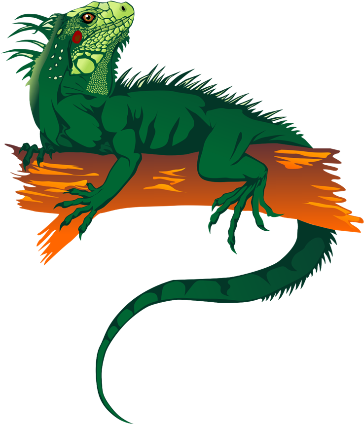 Free To Use &, Public Domain Reptile Clip Art - Gambar Kartun Iguana (800x955)