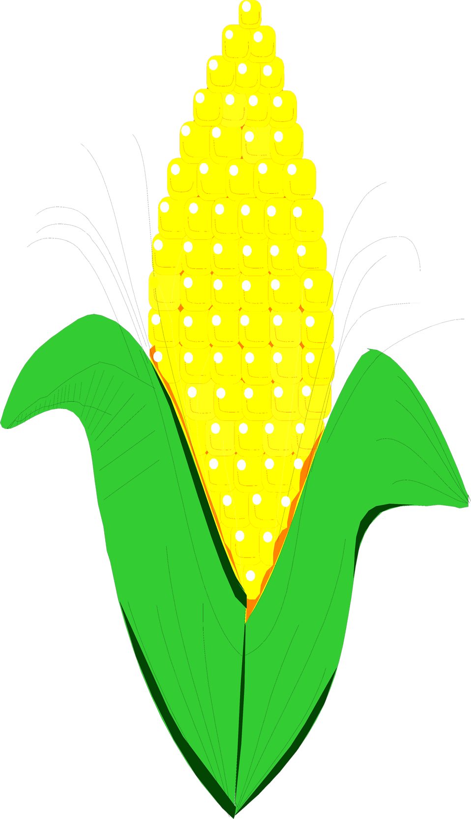 Drawing Of Corn Clipart Free Clip Art Images - Corn Clipart No Background (958x1666)