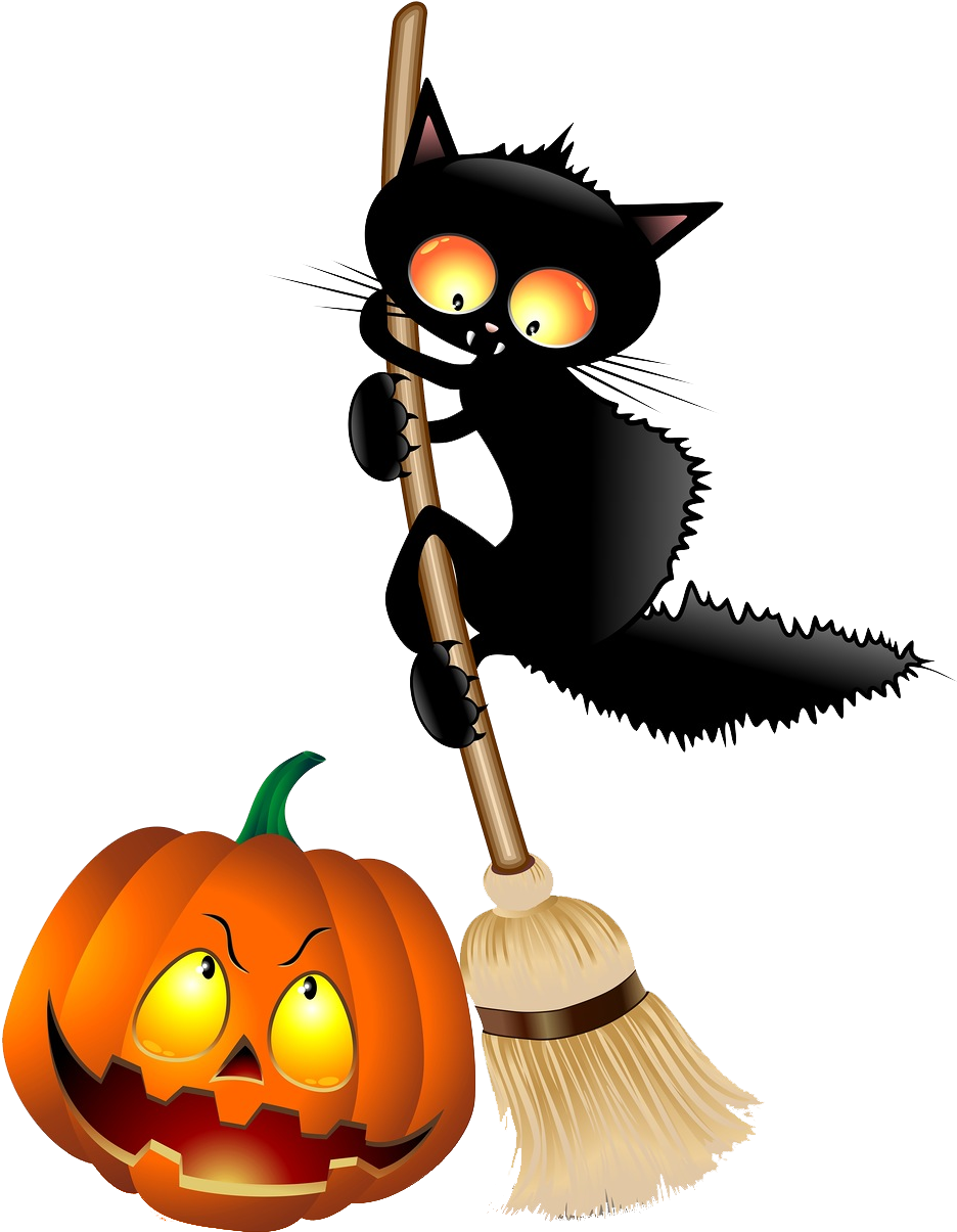 Illustration Of Halloween Cat Cartoon On Witch Broom - Best Gift - Limited ...