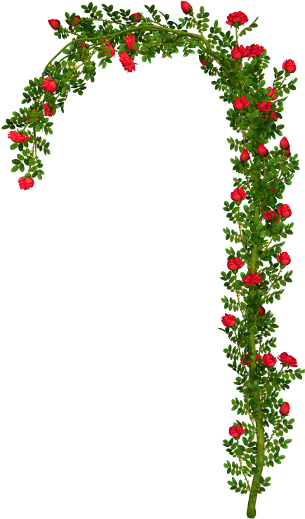 Rosebush Arch Element Png Clipart Picture - Rose Bush Png (485x800)